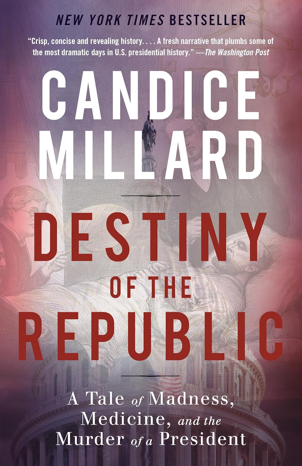 Destiny of the Republic: A Tale of Madness, Medicine and the Murder of a President (2011) by Candice&nbsp;Millard